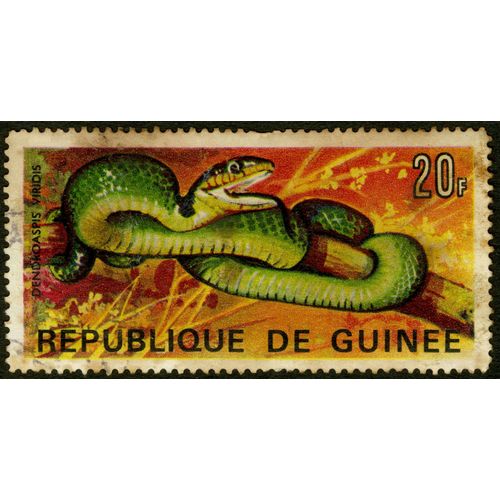 Timbre Oblitéré République De Guinée, Dendroaspis Viridis, 20 F