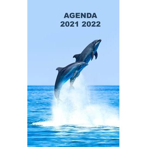 Agenda 2021 2022: Planificateur Journalier Ecole College Lycee Pour Planifier Une Annee Pleinement Reussie