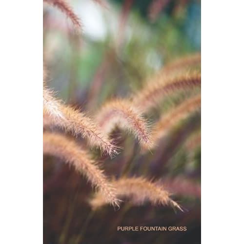 Purple Fountain Grass: 5.5x8.5 Writing Journal, Featuring A Photo Of Purple Fountain Grass