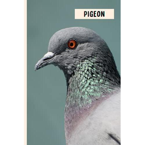 Pigeon: Perfect Pigeon Journal For Memories And Notes , Pigeon Notebook ( 110 Pages, 6x9 )