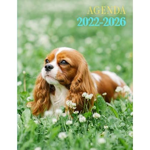 Agenda 2022 - 2026: Chien Cavalier King Charles. Planificateur Mensuel De 5 Ans. Grand Format 18x25 Cm. Calendrier De 60 Mois, 2 Pages Par Mois.