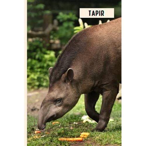 Tapir: Funny Wide Ruled Notebook Gift For Tapir Lovers - Perfect Tapir Gift On Valentine Day/Birthday/Halloween - 6 X 9 Inches - 110 Lined Pages