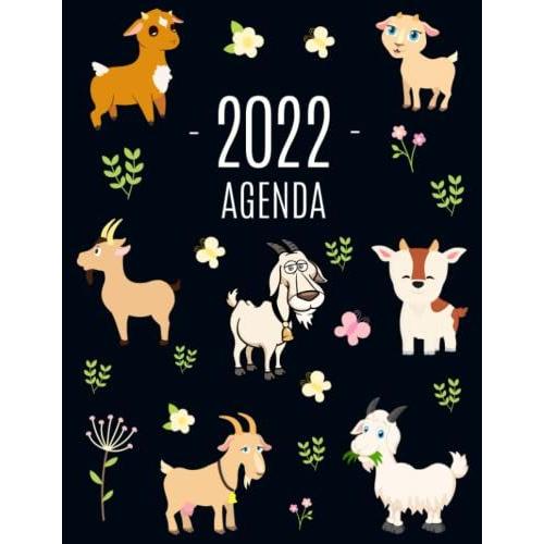 Cabro Agenda 2022: Planificador Diaria Con Animales De Granja | Ideal Para La Escuela, El Estudio Y La Oficina | Enero A Diciembre 2022