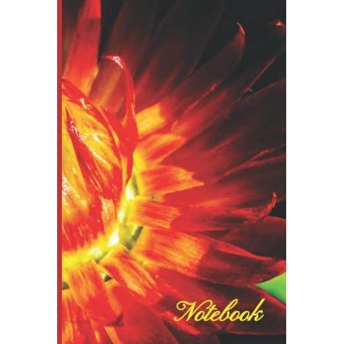 Flower Notebook Journal For Her: Colorful Simple Single Flowery Notebook For Sister, Teen Girls And Women | 150 Blank Pages | 6x9