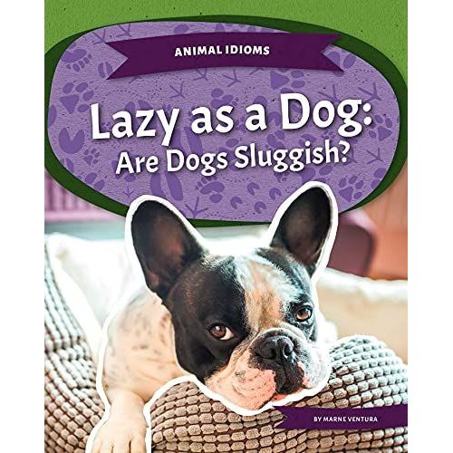 Lazy As A Dog