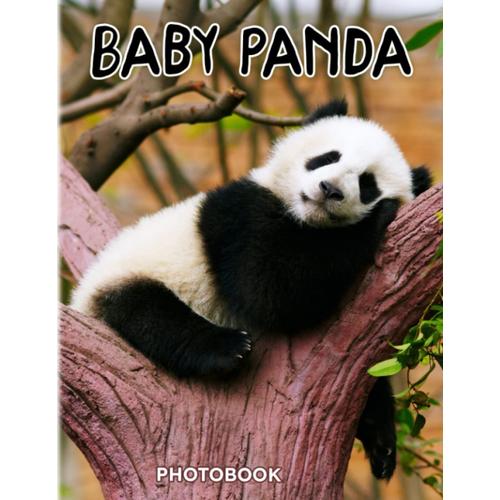 Baby Panda Photobook: Photographers Cute Black And White Mammal With 40 Images | Creative Decor As Gifts For Children, Teens, Adults | For Birthday | To Creatives | Anxiety Relief Gifts