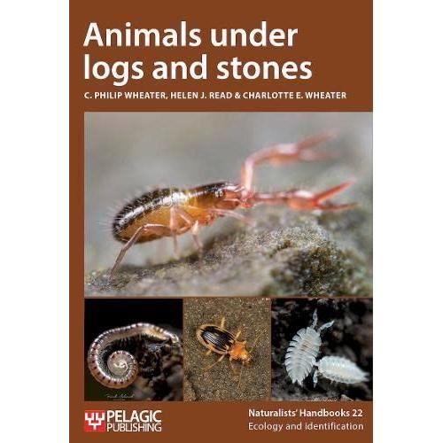 Animals Under Logs And Stones