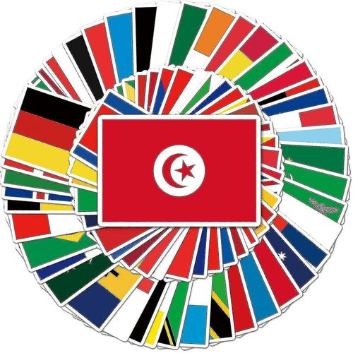 World Flags Stickers Pack De 100-Country Flag In Map Pattern Stickers-Vinyl Skateboard Stickers-Suitable For Laptop Travel Case Notebook Phone Car Bik