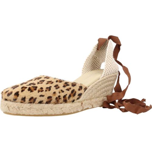 Clara Duran Valenponcd Colour Imprimé Animalier
