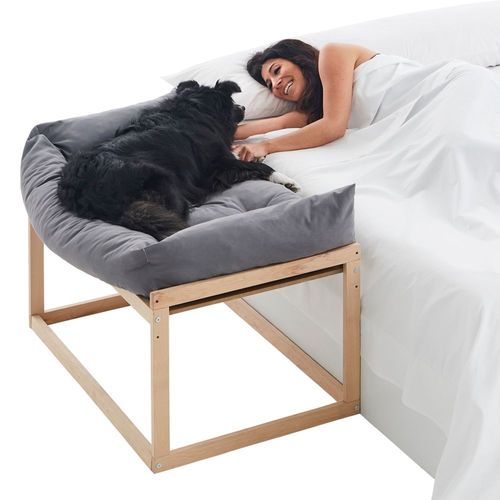 Lit Surélevé Anti-Stress Pour Chiens Et Chats. S'adapte À Votre Animal (3 Hauteurs). Idéal Pour Toutes Les Tailles. Savannah