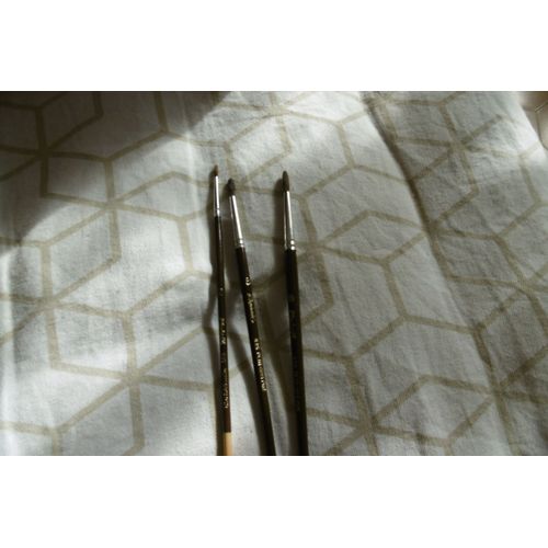 Pinceaux Petit Gris Pur Pour Aquarelle Raphael835 Lot De 3 Assortis