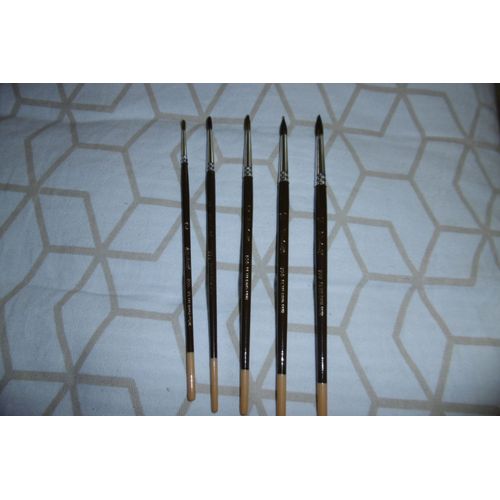 Pinceaux Petit Gris Pur Pour Aquarelle Raphael 835 Lot De 5 Assorties