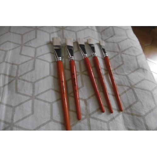 Pinceaux Brosses Soie Blanc Raphael Lot De 5 Assorties