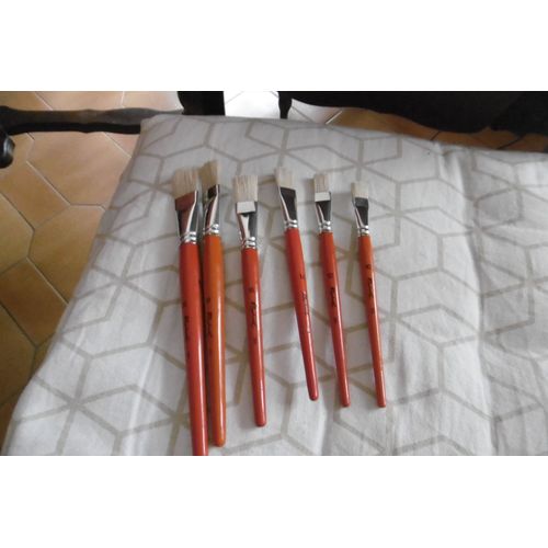 Pinceaux Brosses Plates Soie Raphael Lot De 6 Assorties