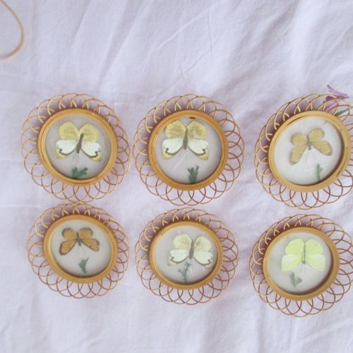 Sous Verre Vintage  Rotin