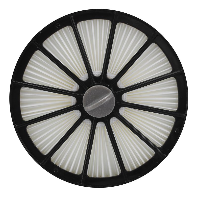 Filtre pour aspirateur droit Bissell Pet Hair Eraser Lift-Of... - 4