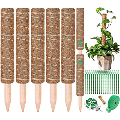 5 Pièces 42cm Tuteur Monstera, Tuteur Coco Tuteur Plante Interieur Jusqu'à  160 cm, Tuteur Sphaigne avec Bande Velcro, Serre-câble, Ficelle, Tuteur  Plante Grimpante pour La Maison Jardin