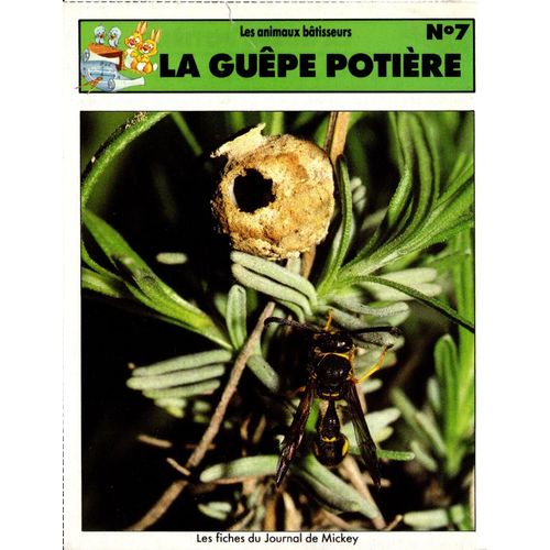 Fiche Journal De Mickey La Guêpe Potière