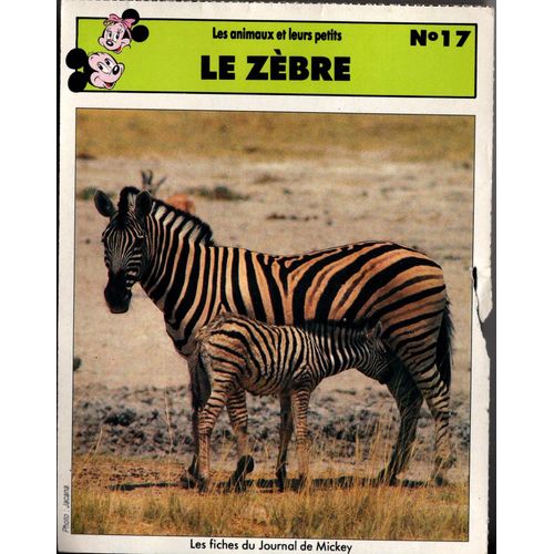 Fiche Journal De Mickey Le Zèbre