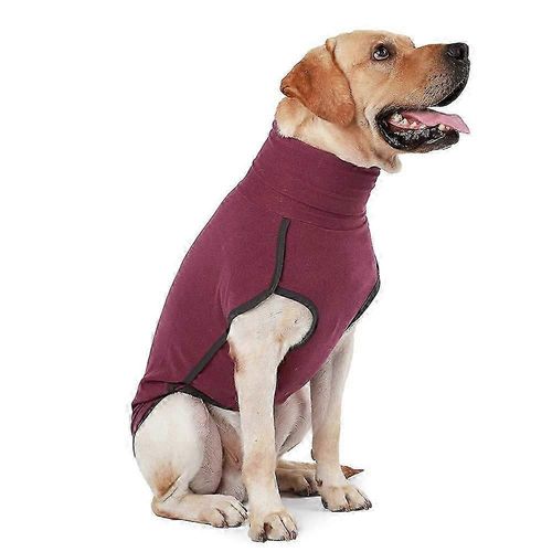Maison Chien Col Haut Pull Coton Vêtements Rembourrés Vêtements Pour Animaux De Compagnie Vêtements Pour Chiens