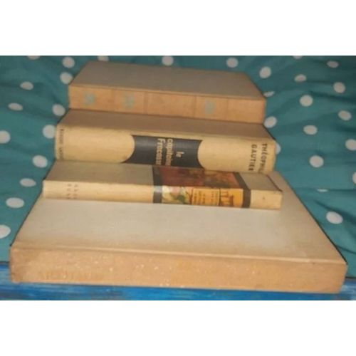 Mission Ténéré Par Roger Frison Roche + Bernadette De Lourdes Par Michel De Saint Pierre + Capitaine Fracasse + La Reine Doit Passer D'abord France Club 4 Livres Anciens Tissu Blanc Années 1900