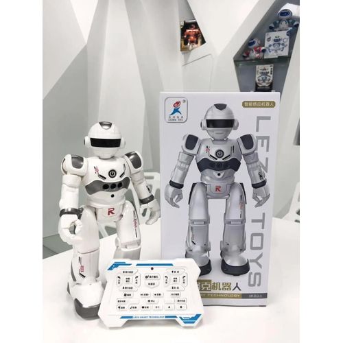 GRIS - Robot électrique RC à Induction gestuelle, interrupteur marche/glissement, Puzzle, lumière LED, musique et danse, histoire, télécommande, modèle de jouet