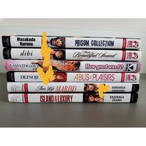Lot 6 Mangas Hentai