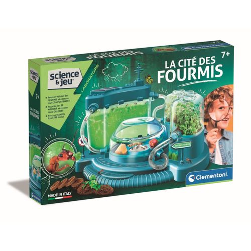 Science & Jeu Laboratoire La Cité Des Fourmis