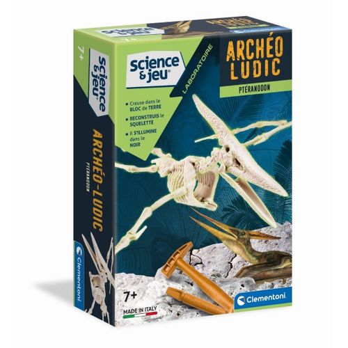 Science & Jeu Laboratoire Archéo Ludic - Ptéranodon