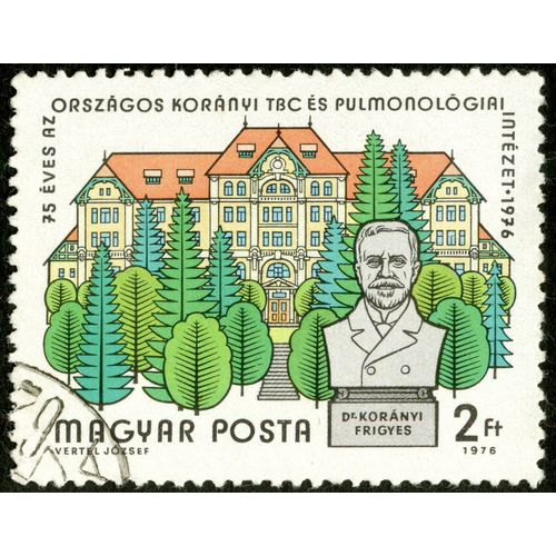 Timbre Oblitéré Magyar Posta, 75 Eves Orszagos Koranyi Tbc Es Pulmonologiai Intezet 1976, Dr. Koranyi Frigyes, 2 Ft