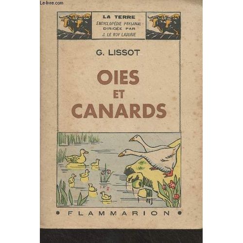 Oies Et Canards - La Terre