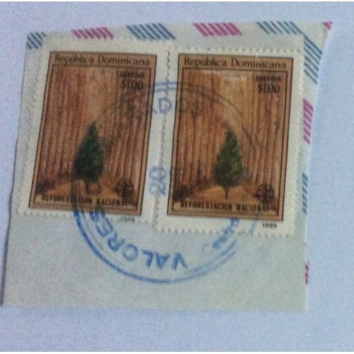 2 Timbres Oblitérés De La République Dominicaine (Sur Coin D'enveloppe)