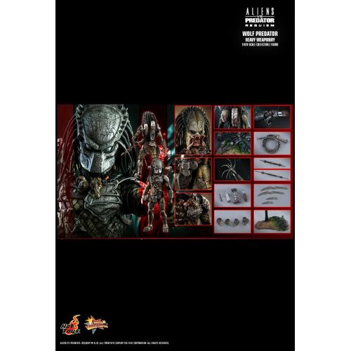 Figurine Hot Toys Mms219 - Dc Comics - Batman 1966 - Robin