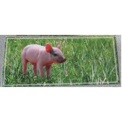 Carte Double Avec L'image D'un Porcelet Bien Campé Sur Ses Pattes Dans Un Pré Fleuri- 19x9cm - Éditée Par Pmaf (Protection Mondiale Des Animaux De Ferme)