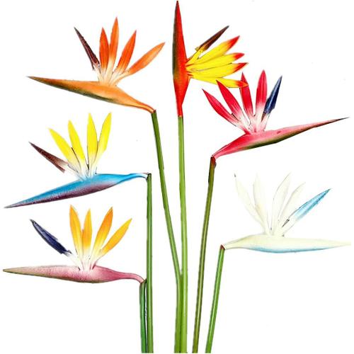 Lot de 6 fleurs artificielles de 6 couleurs,Oiseau du paradis,Fleurs permanentes,58cm Bouquets de fleurs tropicales d'imitation pour fond de mariage,centre de table,arrangement de plantes multicolore