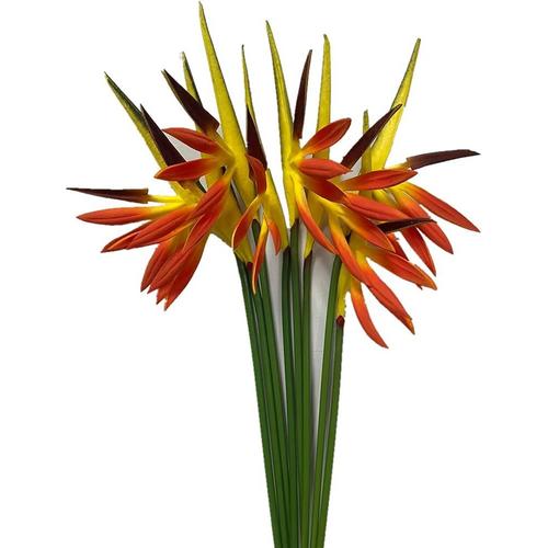 Lot de 8 fleurs artificielles oiseaux de paradis - Plante verte pour décoration de maison, jardin, bureau, véranda, décoration de mariage (orange)