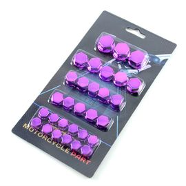 Couvercle D'écrou De 2,2 De Décoration De Moto,Accessoires Pour Yamaha R1 2004,Suzuki Gsxr 750,Triumph Dayrequi675,Gsxr 1000,K9 - Type Violet