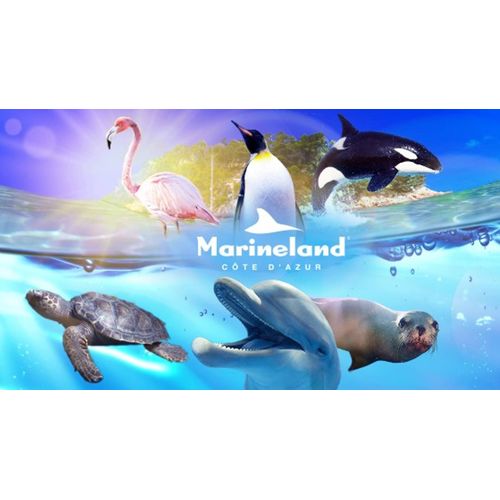 Billets Entrées Au Marineland