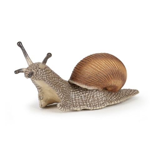 La Vie Sauvage Escargot