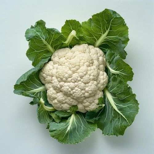 150 Graines De Chou-Fleur - Semisauvage Permaculture
