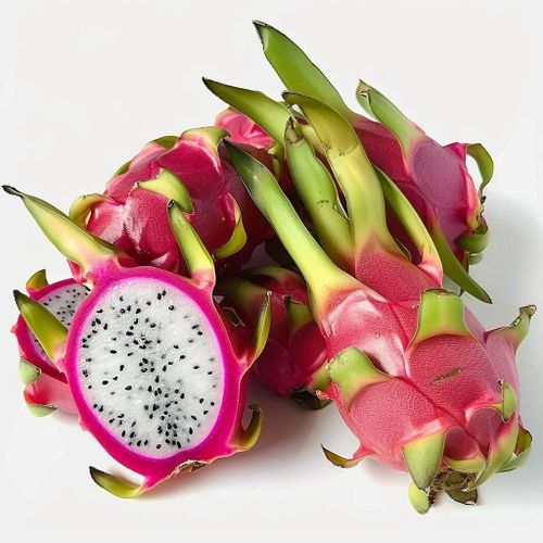 60 Graines De Fruit Du Dragon (Pitaya) - Semisauvage Permaculture