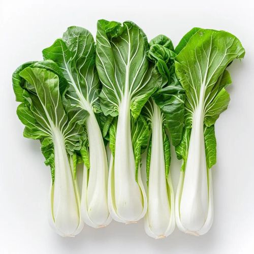 300 Graines De Chou Chinois Pak Choï - Semisauvage Permaculture