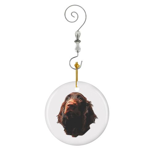 Ornements de Noël Superbe chien épagneul des champs ! en Céramique avec Crochet et Cristal- Décorations pour Sapin de Noël, Souvenirs