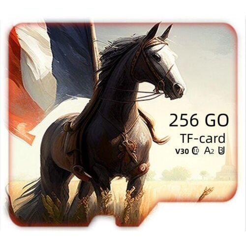 Carte Mémoire Micro sd 256 Go Class 10 +Adaptateur+Lecteur Carte Memoire