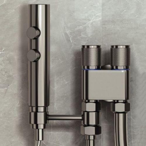 Ensemble de pulvérisateur de bidet de toilette en acier inoxydable,deux modes,odorpulvérisateur,douche,auto-livres,chiffres,touristes,bouton - Type metal grey