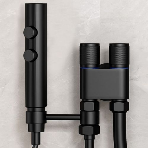 Ensemble de pulvérisateur de bidet de toilette en acier inoxydable,deux modes,odorpulvérisateur,douche,auto-livres,chiffres,touristes,bouton - Type Black