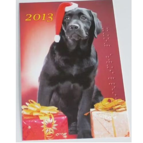 Carte Postale 2013 Avec Un Chien Labrador Noir Portant Un Bonnet Rouge De Noël Assis Entre Des Paquets Cadeaux Enrubannés - Mention En Braille - 10x15cm - Éditée Par Unadev