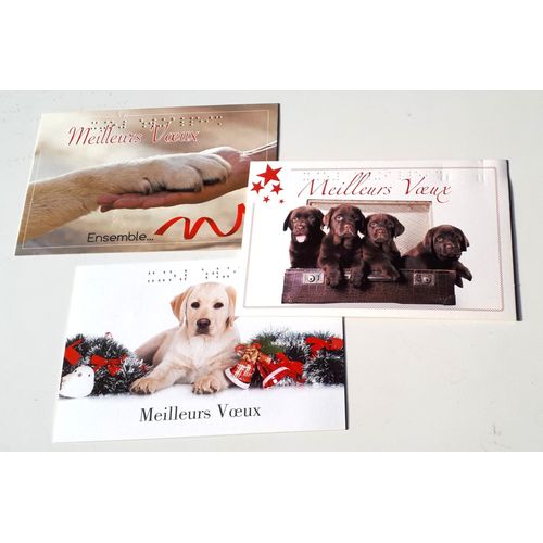 Trois Cartes Postales Mention Meilleurs Voeux En Écriture Et En Braille Au Décor Festif De Chiens Labradors (Différents Modèles) - 10x15cm - Éditées Par Unadev
