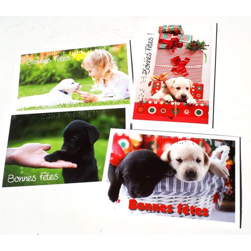 Quatre Cartes Postales Mention Bonnes Fêtes En Écriture Et En Braille Au Décor Festif De Chiens Labradors (Toutes Différentes) - 10x15cm - Éditées Par Unadev