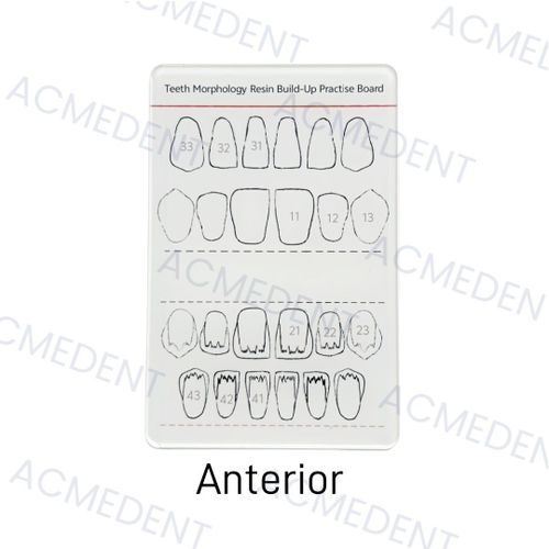 3tandental-Planche De Morphologie Dentaire En Résine,Modèle De Remplissage En Résine Composite,Pour La Pratique De L'étude Mo - Type Anterior X1pc